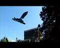PDVD_2434