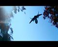 PDVD_2435