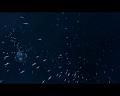 PDVD_2671