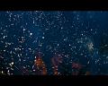 PDVD_2713