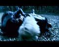 PDVD_2798