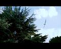 PDVD_3470