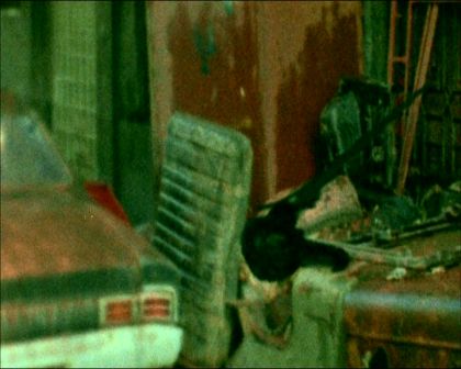 PDVD_1148.jpg