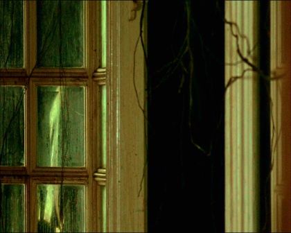 PDVD_1222.jpg
