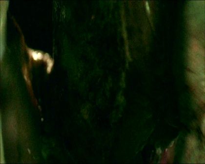 PDVD_1306.jpg