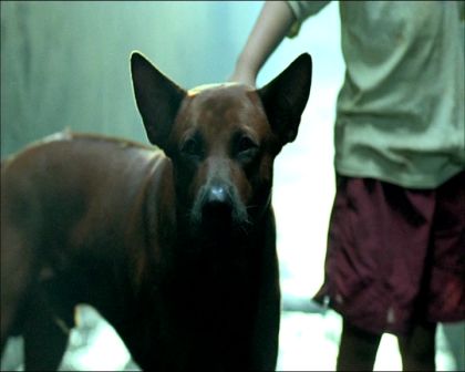 PDVD_1315.jpg