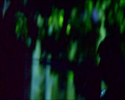 PDVD_1474.jpg