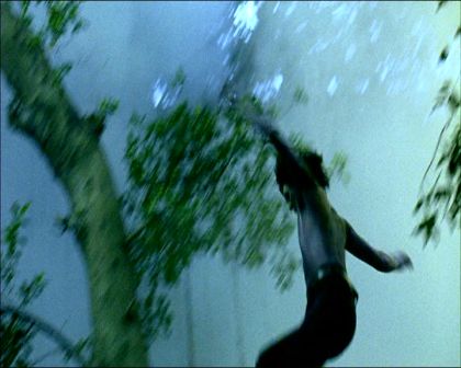 PDVD_1508.jpg