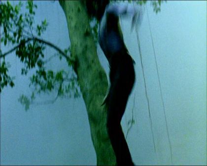 PDVD_1509.jpg