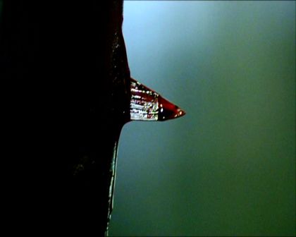 PDVD_1519.jpg