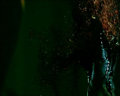 PDVD_1531.jpg