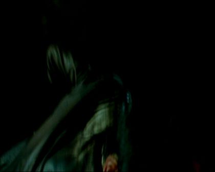 PDVD_1537.jpg