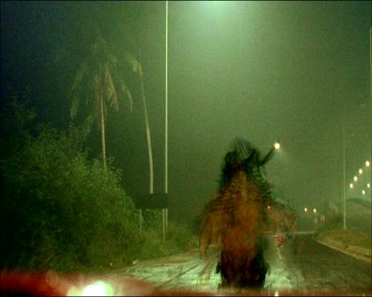 PDVD_154.jpg