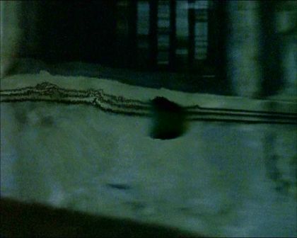 PDVD_1704.jpg