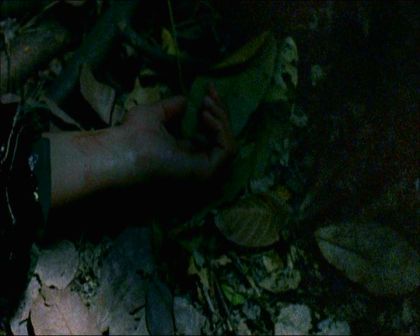 PDVD_1780.jpg
