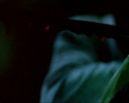 PDVD_1802.jpg