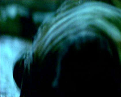 PDVD_208.jpg