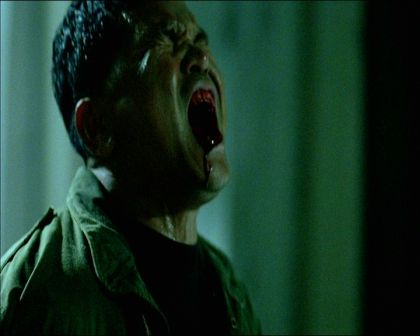 PDVD_213.jpg