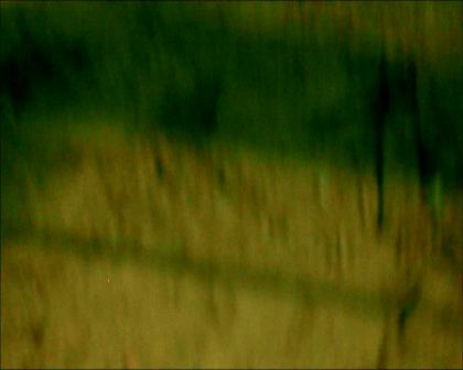 PDVD_300.jpg