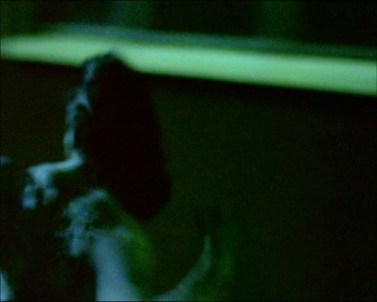 PDVD_536.jpg