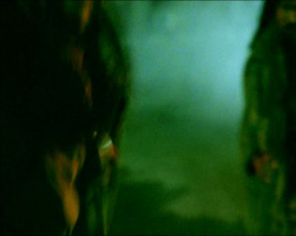 PDVD_620.jpg