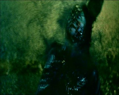 PDVD_630.jpg