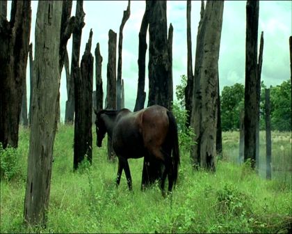 PDVD_679.jpg
