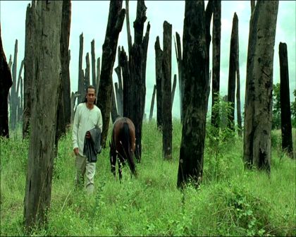 PDVD_680.jpg