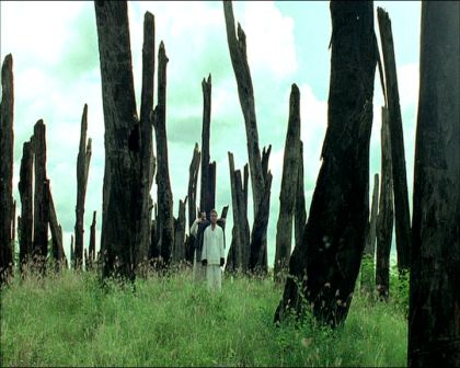 PDVD_682.jpg