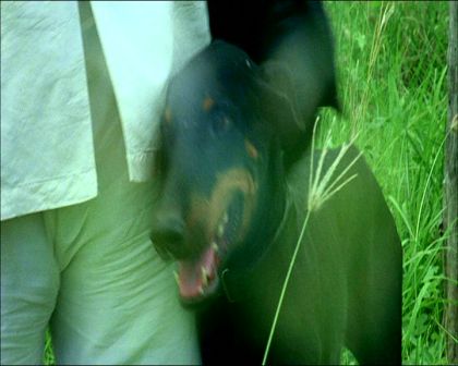 PDVD_685.jpg