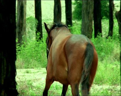 PDVD_692.jpg