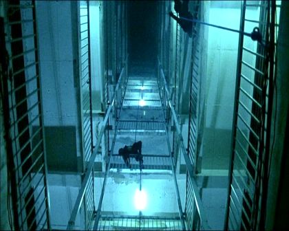 PDVD_919.jpg