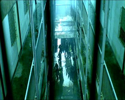 PDVD_929.jpg