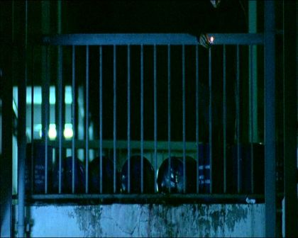 PDVD_936.jpg
