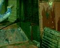 PDVD_1146