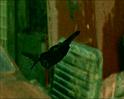 PDVD_1147