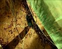 PDVD_1181