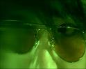 PDVD_1198