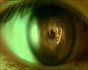 PDVD_1199