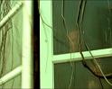 PDVD_1250