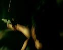 PDVD_1278