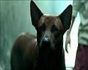 PDVD_1316