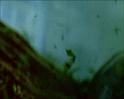 PDVD_1472