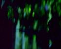 PDVD_1474