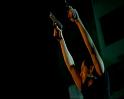 PDVD_1493