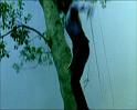 PDVD_1509