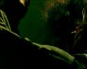 PDVD_1522