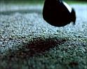 PDVD_1619