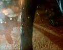 PDVD_1725
