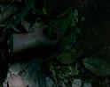 PDVD_1780